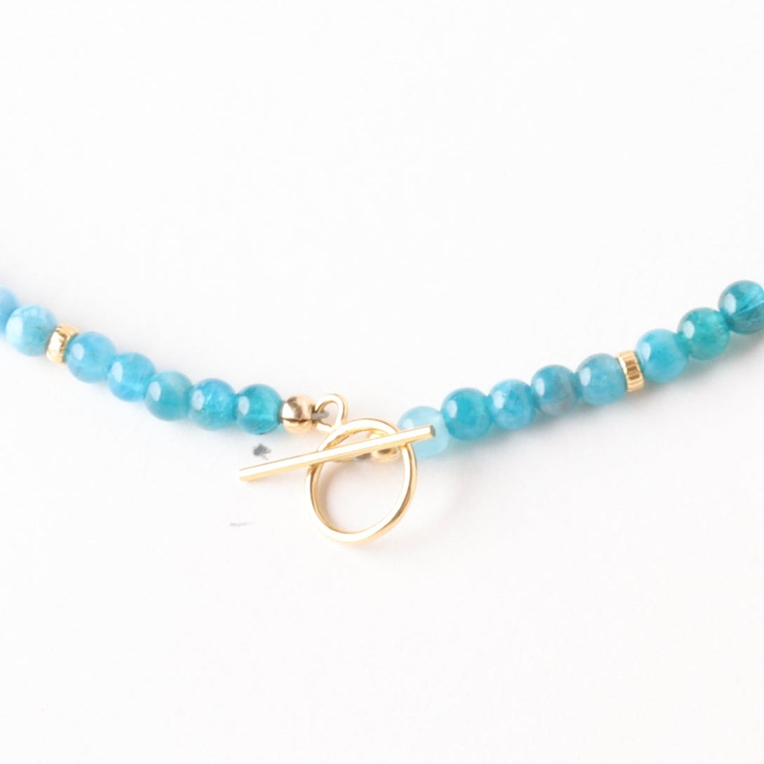 Pool Party Apatite x Gold Toggle Necklace - Everyday