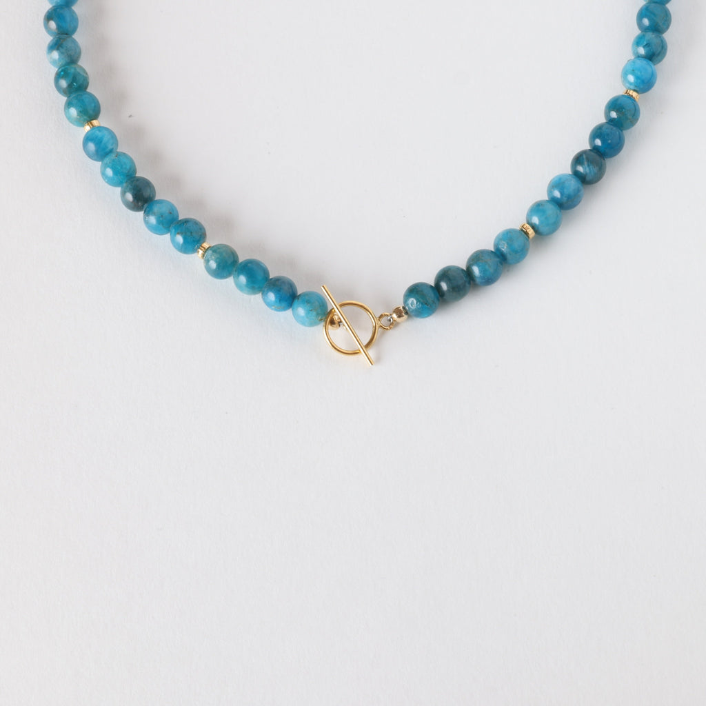 Pool Party Apatite x Gold Toggle Necklace - Classic